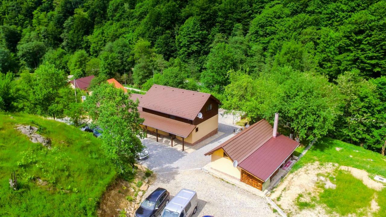 Pensiunea Lupul Dacic Costeşti Eksteriør billede