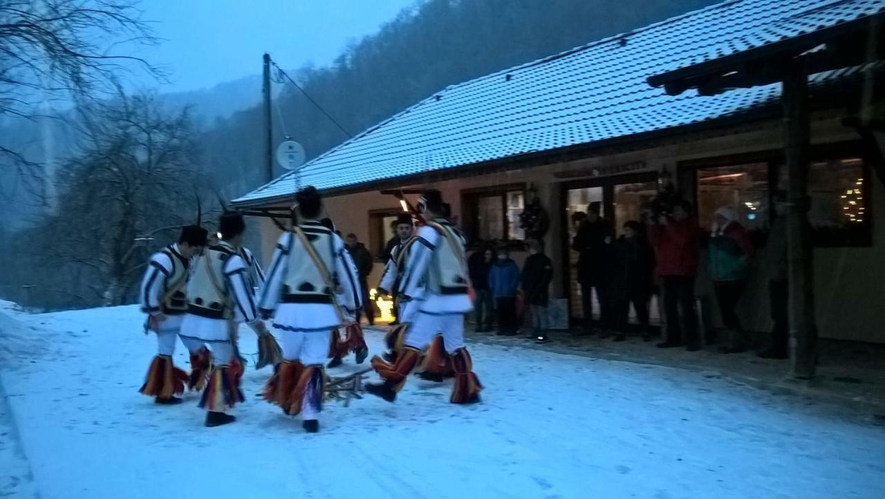 Pensiunea Lupul Dacic Costeşti Eksteriør billede